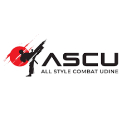 ALL STYLES COMBAT ALL STYLES COMBAT