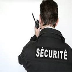 agent agent
